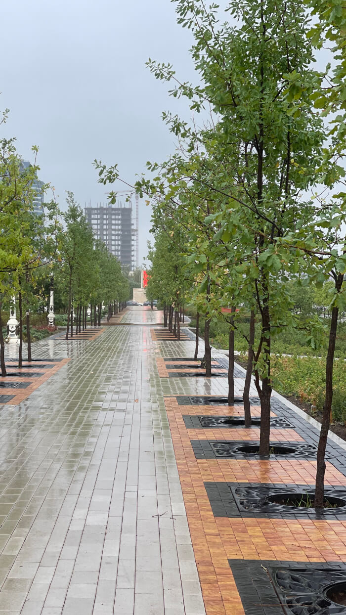 Приствольная решетка для дерева ZKING CRUST 1.2х1.2м Черная в Тайшете фото