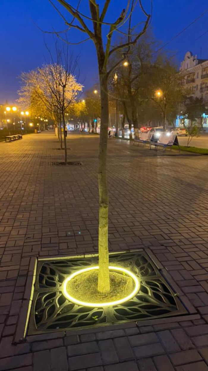 Приствольная решетка для дерева ZKING CRUST 1.2х1.2м Черная в Тайшете фото